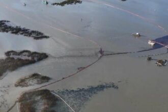 Impact of DOGE Cuts on Oil Spill Response in Louisiana