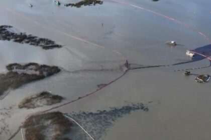 Impact of DOGE Cuts on Oil Spill Response in Louisiana