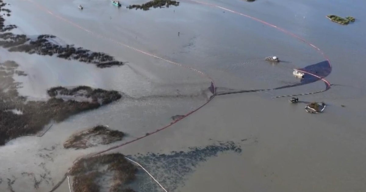 Impact of DOGE Cuts on Oil Spill Response in Louisiana