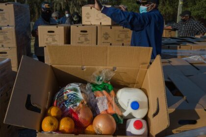 Trump Plans to Swap Senior Grocery Aid with "MAHA Food Boxes
