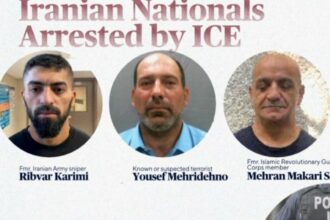 Overview of the 11 Iranians Detained by ICE