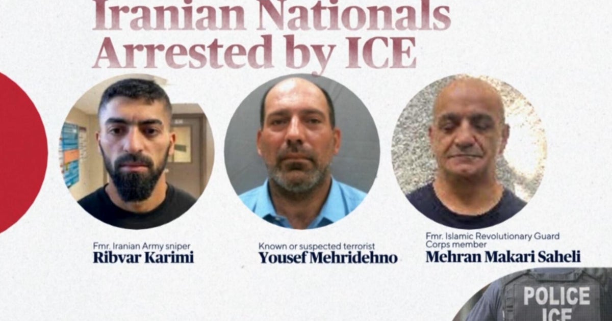 Overview of the 11 Iranians Detained by ICE