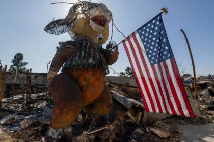 DOGE Short-Staffing Wildland Firefighting Crews Before Wildfire Season
