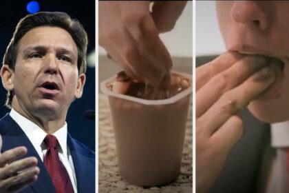 How Ron DeSantis Looks Eating Pudding With His Fingers Revealed