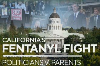 Digital Democracy: Battle Between Lawmakers and Grieving Parents