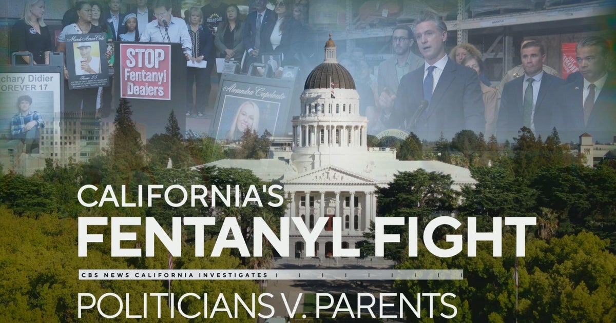 Digital Democracy: Battle Between Lawmakers and Grieving Parents