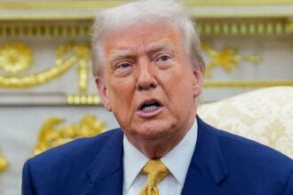 Economist discusses latest trade deals