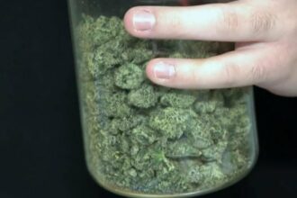 Texas lawmakers going after hemp again after governor's veto