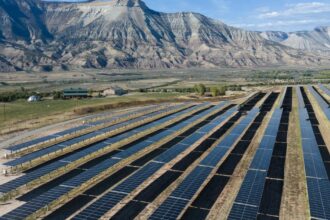 Senate removes excise tax on renewable energy industry from Trump domestic policy bill