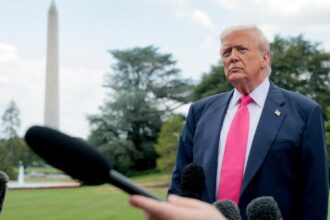 White House unveils U.S. strategic plan on AI. Here's what it includes.