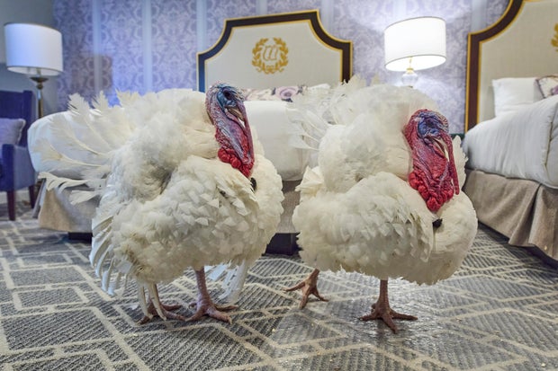 Trump Turkey Pardon